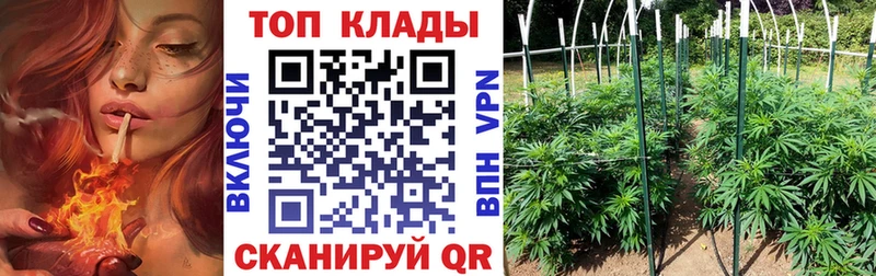 Названия наркотиков Конаково АМФЕТАМИН Псилоцибиновые грибы Меф Бошки Шишки ГАШ APVP