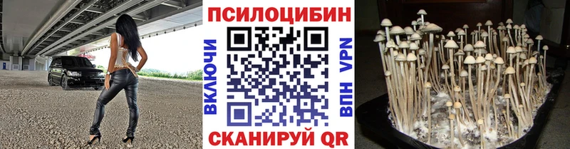 кракен ТОР  Конаково  нарко площадка клад  Псилоцибиновые грибы Magic Shrooms 